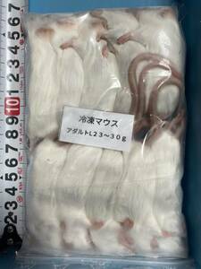 冷凍マウスアダルトL 23～30g(100匹)
