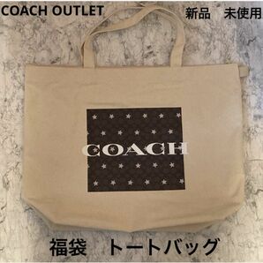 コーチ　アウトレット　福袋 2024　トートバッグ　COACH OUTLET 布製　ショッパー　エコバッグ