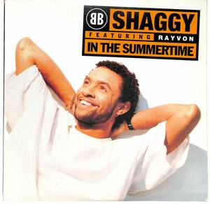 d9025/12/米/Shaggy Featuring Rayvon/In The Summertime