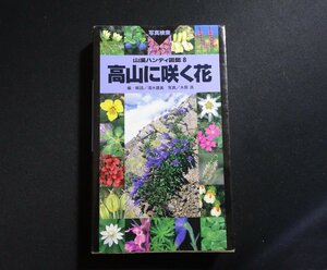 『高山に咲く花　山溪ハンディ図鑑8』