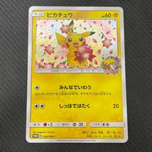 ピカチュウ みんなでいわう プロモ 20th 224/SM-P ポケモンカード ポケカ ポケモンセンター ポケセン 20周年_画像1