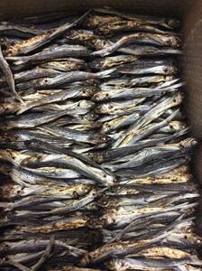 Зони, Нагасаки Хирадо, жареный на гриле подбородок, 300 г, рыба, рыба, 300 г, рыба подбородок подбородок подбородок удон удон японская лапша бонито суп бонито