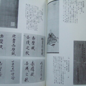 図録 「 龍草蘆 展 りゅうそうろー 京から招いた彦根藩儒学者の軌跡 」江戸時代中期の漢学者漢詩人 龍公美 草廬詩集著 幽蘭社の画像5