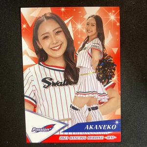 BBM 2023 プロ野球　チアリーダー　東京ヤクルトスワローズ　Passion AKANEKO