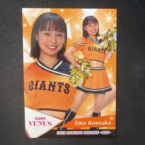 BBM 2023 プロ野球　チアリーダー　読売ジァイアンツ　Venus 高坂咲舞