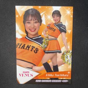 BBM 2023 プロ野球　チアリーダー　読売ジァイアンツ　Venus 土原一花