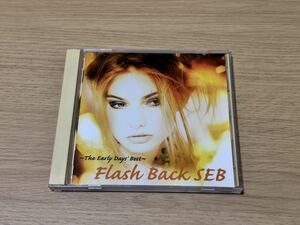 Flash Back SEB ~THE Early day's Best~ スーパーユーロビート avex CD super EUROBEAT