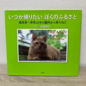 【訳あり　状態難】　いつか帰りたいぼくのふるさと　福島第一原発２０キロ圏内から来たねこ 大塚敦子／写真・文　小学館