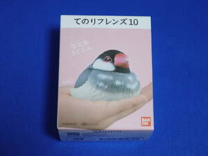 ★【在庫4】 桜文鳥 まどろみ てのりフレンズ10 未開封