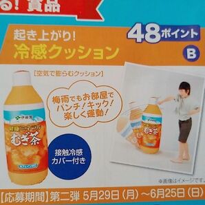 伊藤園　絶対もらえるキャンペーン　起き上がり　冷感クッション　ITOEN　サウンドバッグ　クッション　むぎ茶