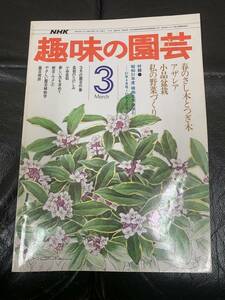 * Showa 52 год *NHK [ хобби. садоводство ]3 месяц shohin bonsai весна. .. дерево . контактный . дерево Azare a овощи конструкция ( внутри bed внизу хранение )