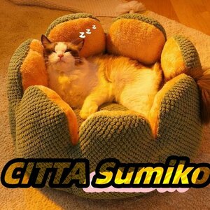 猫 犬 ベッド　ペットベッド ふわふわ　暖か もこもこ　ペット用品　滑り止め　クッション マット　丸ドーナツ　可愛い　秋冬 Lサイズ