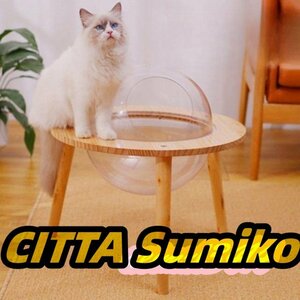  for pets bed transparent space ship height quality material dressing up feeling four season circulation cat bed cat dome space ship Capsule cat house 