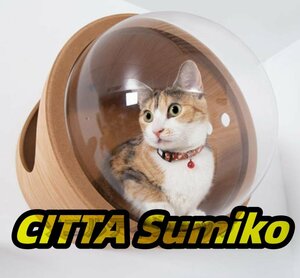  высококлассный высокое качество! кошка кошка walk кошка подножка bed house стена установка натуральное дерево космос 