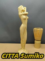 木製 女性 裸婦 木彫り 置物 曲線美 女性美 高さ20cm_画像1