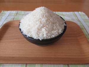 【新米・白米】C25 コシヒカリ　令和5年9月収穫　4.5kg（3升）【送料無料】