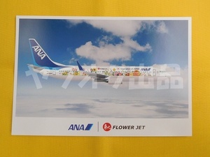 ANA flower jet B737-800 Flower Jet all day empty Eara in goods airplane aviation 
