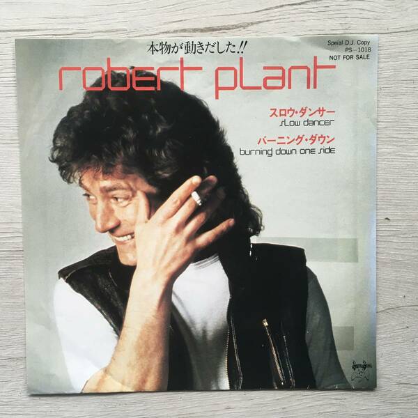 PROMO ROBERT PLANT　SLOW DANCER