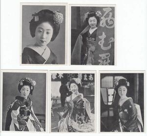京都舞子、芸妓　小型写真印刷　５枚（1）、祇園　のむら他