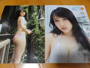 ◆即決!!アイドル当時物◆向井地美音◆切り抜き14P＋特大ポスター◆AKB48◆ビキニ◆美乳◆美尻◆美脚◆白石麻衣西野七瀬◆