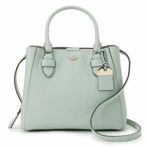 限定色★新品同様★kate spade カーターストリート アリアナ