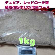 特製高品質デュビアレッドローチフード【1kg】食物性粉末20%増量_画像1