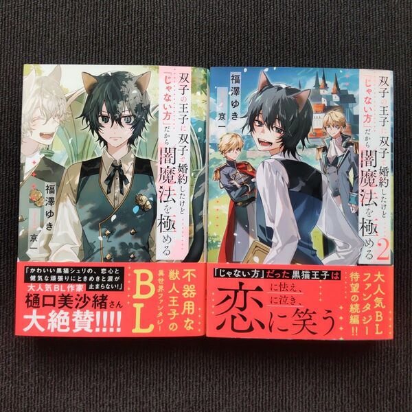 小説「双子の王子に双子で婚約したけど「じゃない方」だから闇魔法を極める」 全2冊セット