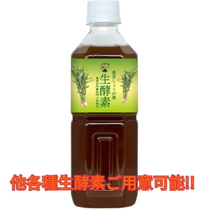 豊受しょうが葉 生酵素 500mL ホメオパシー