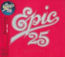 CD EPIC 25 1980～1985 GOLDEN 80'S COLLECTION シャネルズ/佐野元春/一風堂/THE MODS/大沢誉志幸/LOOK他_画像1