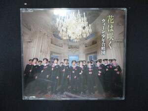 984＃中古CDS 花は咲く/ウィーン少年合唱団