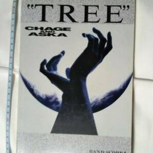 未使用「CHAGE AND ASKA バンドスコア TREE」の画像1