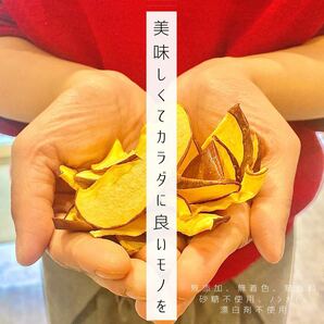 【3袋】青森県産りんごチップス サンふじ 120g 無添加 ドライフルーツ ドライリンゴ リンゴチップス 砂糖不使用 ギフトなどにの画像9