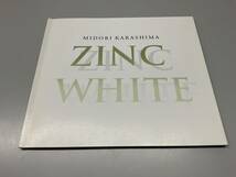 ★辛島美登里　CD ／ Zinc White（ジンク・ホワイト）_画像6