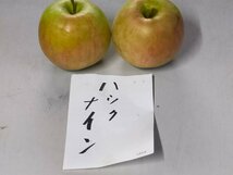 【数量限定】 青森県産 ハックナイン 訳あり 3kg 送料無料 佐川急便 【6118】_画像2