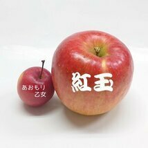 青森りんご ミニふじ あおもり乙女 送料込 小さくかわいいリンゴ食べきりサイズ 家庭用訳あり１㎏【6039】_画像7