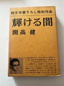 開高健『純文学書下ろし特別作品　輝ける闇』（新潮社、昭和43年、初版）、函・ビニカバー・カバー付き。257頁。