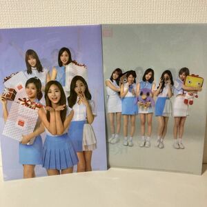 TWICE не продается Lotte прозрачный файл 2 листов 