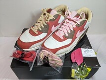 極美品 NIKE ナイキ DQM AIR MAX 90 NRG BACON エアマックス90 ベーコン CU1816-100 29cm _画像1