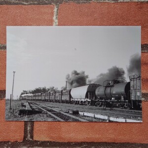 【栄光のSL】★蒸気機関車★室蘭本線★志文駅付近/鉄道写真(8.9×12.7) E−74