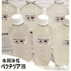 水質浄化バクテリア液 武蔵 お試しサイズ164ml