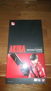 meti com toy PROJECT BM AKIRA Akira gold rice field regular Taro the first version 2010 year. thing action figure unopened unused beautiful goods completion goods..