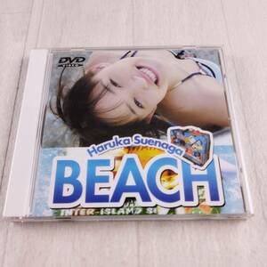 1MD2 DVD 末永遥 BEACH 