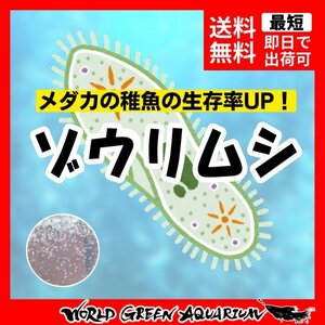 【送料無料】メダカ 餌【ゾウリムシ2000ml＋ゾウリムシの餌】めだか ミジンコ PSB おとひめ 水草 同梱包可能 生クロレラ同梱不可