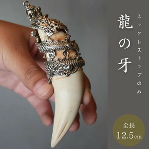  necklace dragon. . top only Dragon dragon accessory men's jewelry style stylish item 