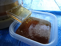 二ホンミツバチ 蜂蜜 電動 遠心分離器　簡単に搾る / 養蜂器具 蜂蜜抽出器 蜂蜜 日本蜜蜂 ハチミツ 分蜂 採蜜_画像9