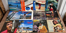 ハワイアン ミュージック 60枚 LP レコード 大量 セット 0108 HAWAII ノースショアドリーム ポリネシア ドンホー ハワイアンフラ タヒチ_画像3