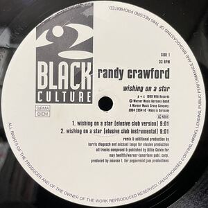 Randy Crawford / Wishing On A Star 12inch盤 その他にもプロモーション盤 レア盤 人気レコード 多数出品。