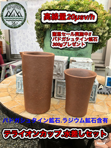  high purity badogashu Thai n. stone * high purity radio-controller um. stone . have *te lion cup * pitcher set 