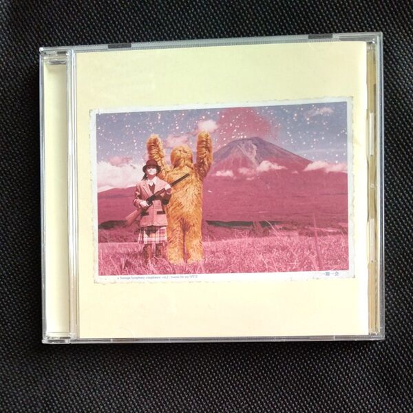 CD THE ユニコーン はっぴいえんど UNICORN