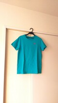 着用回数少なめ☆THE NORTH FACE☆ノースフェイス☆S/S Small One Point Logo Tee☆ジェイデングリーン☆定価6050円☆L☆ロゴ刺繍☆Tシャツ_画像1